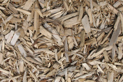 biomass boilers Gillesbie